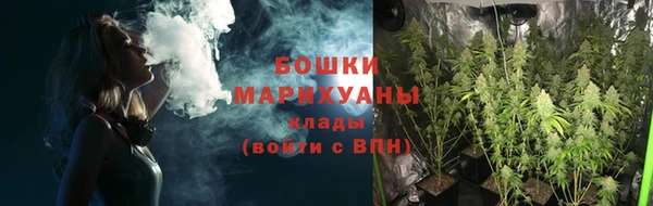 спиды Гусев