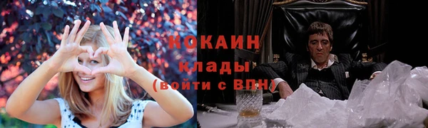 спиды Гусев