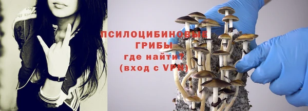 спиды Гусев