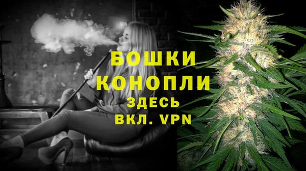 винт Гусь-Хрустальный