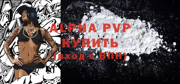 спиды Гусев